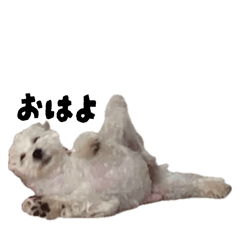 seika_20260406084942