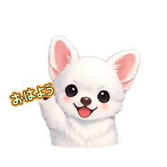 PET SEEYOUAGAIN_20260406104238