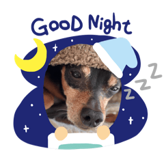 mgaoure_20260406103906