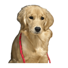 oniku_20260405175241