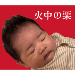 Happa_20260405175119