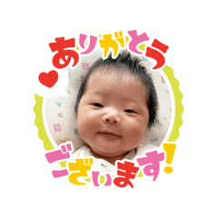 zucozuco yutamalu_20260405173459