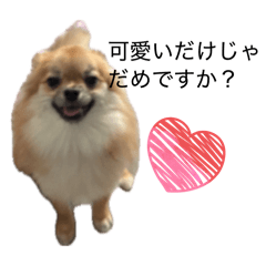 daikinman0516_20260405174728