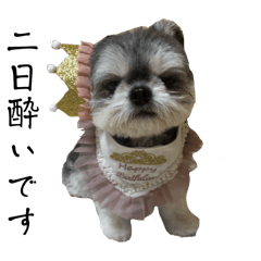 chura_20260405175417