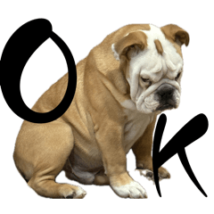 satomi_20260405175447