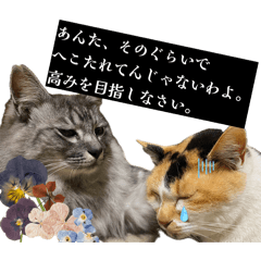 AKANEpopo_20260406102018