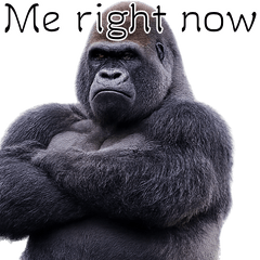 Gachimuchi Zoo Nonverbal Communication