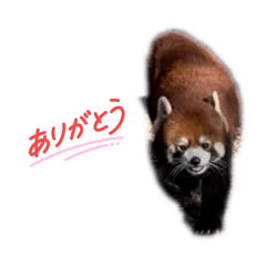 yuzuki_20260406110921