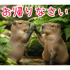 PAKAMOGOLY_20260406110708