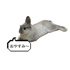 badbooy_03_20260406111632