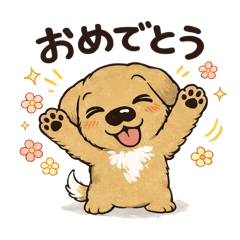 monappe_20260405174800