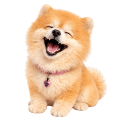 Steve is a dog : Summer (No text)