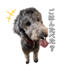 Hi-shan_20260406120321