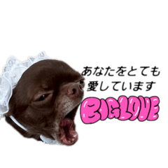 Kanna_20260406121033