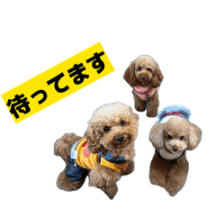 ToYouFamily_20260406121756