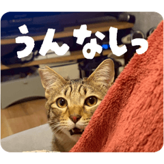 bakutani_20260406121926