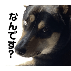 hahaha_20260406123311