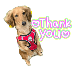 Tsuna_20260406123110