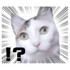 Hotateo_20260402214541