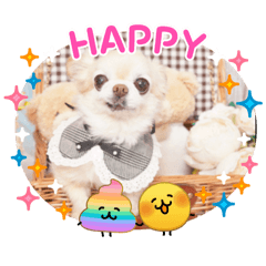 kyun and rate_20260405190408