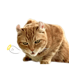 MONACA_20260405190225