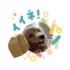 happy1128_20260406123938