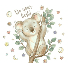 Koala001