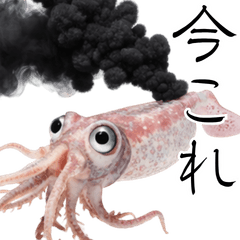 Gachimuchi Aquarium: Nonverbal