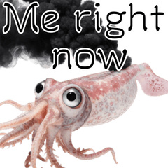 Gachimuchi Aquarium:Nonverbal