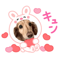 milky_20260406161125