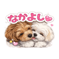 tyoitomoko_20260406175843