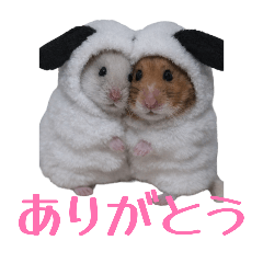 colon_20260406175622