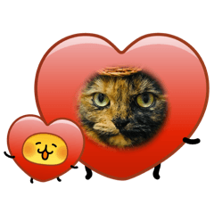 yoshiha_20260406142355