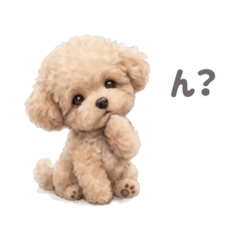 Wankyun_20260406143316