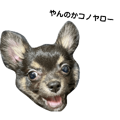 haruto_20260406143406