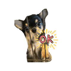 kasumisou_20260405132447