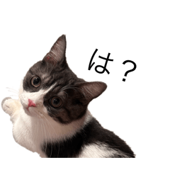 uzura_20260406133831