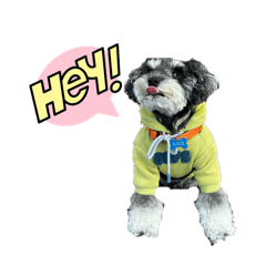 Seira_20260405093945