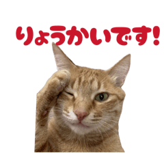 takagi_20260406144540