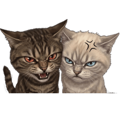 Silent Pressure Cats 2