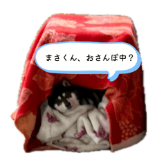 fujimin_20260406145958