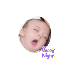 wakame_20260406150403