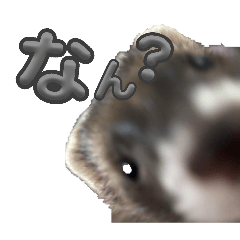 wakamama_20260406145250