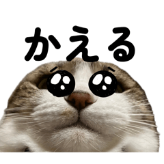 Ma?rmot_20260406150347