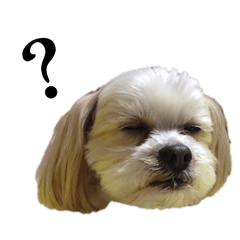 mimiko_20260406144600