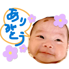 koko_20260406165119
