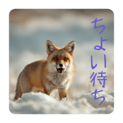 animal stamps_20260406165903