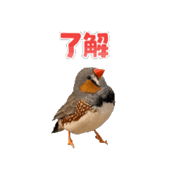 ai_20260406224951
