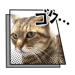 Shiraishi_20260406151234