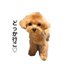 KAORIN_20260406151752